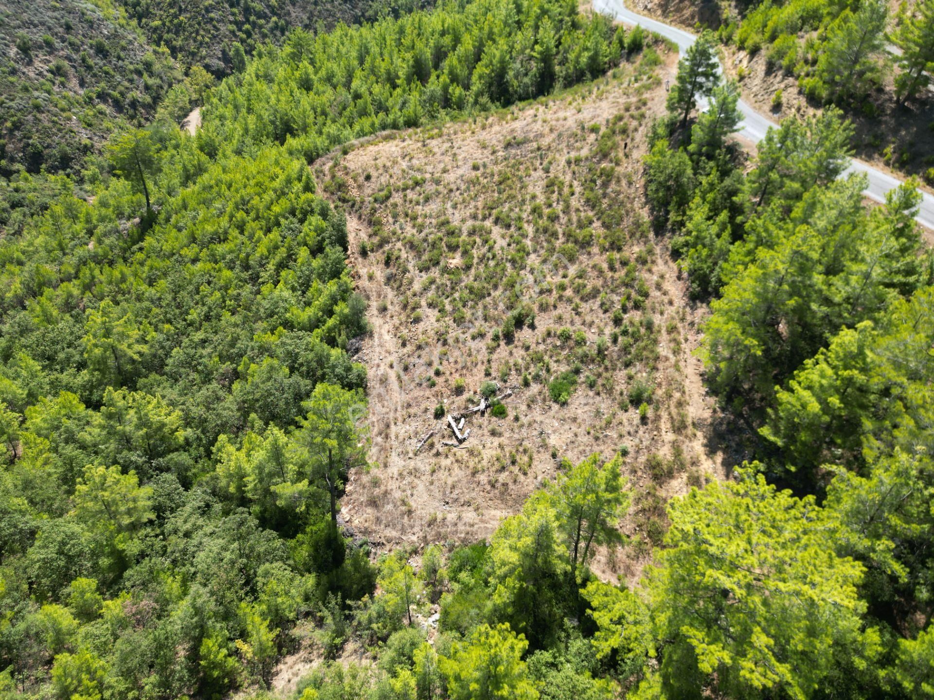 Alanya'da Satılık Yola Sıfır Acil Fırsat Tarla 1100 Metrekare - Görsel 17