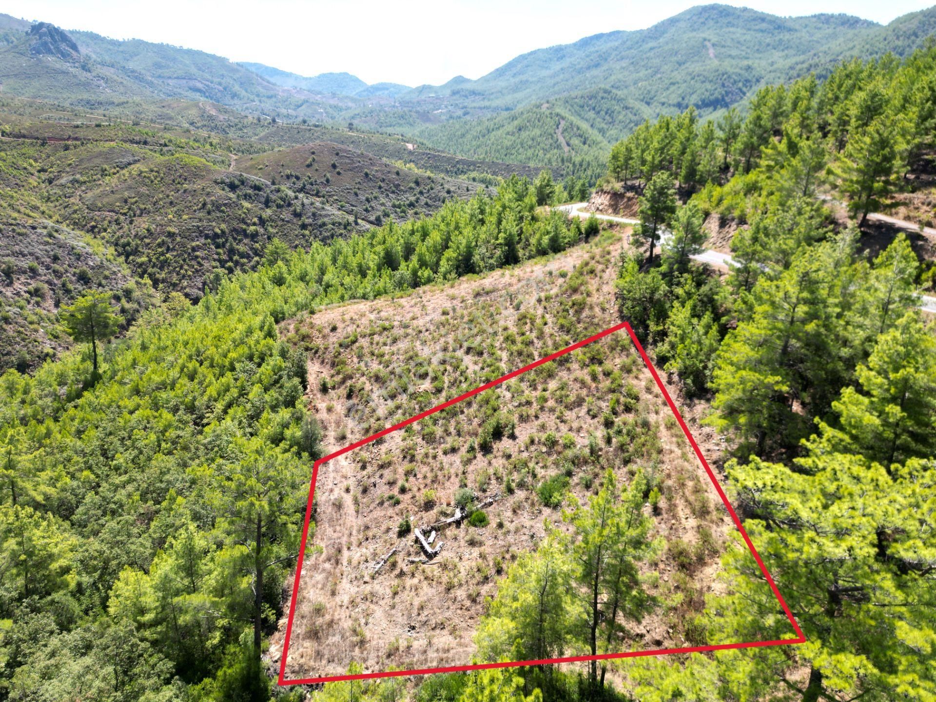 Alanya'da Satılık Yola Sıfır Acil Fırsat Tarla 1100 Metrekare - Görsel 8