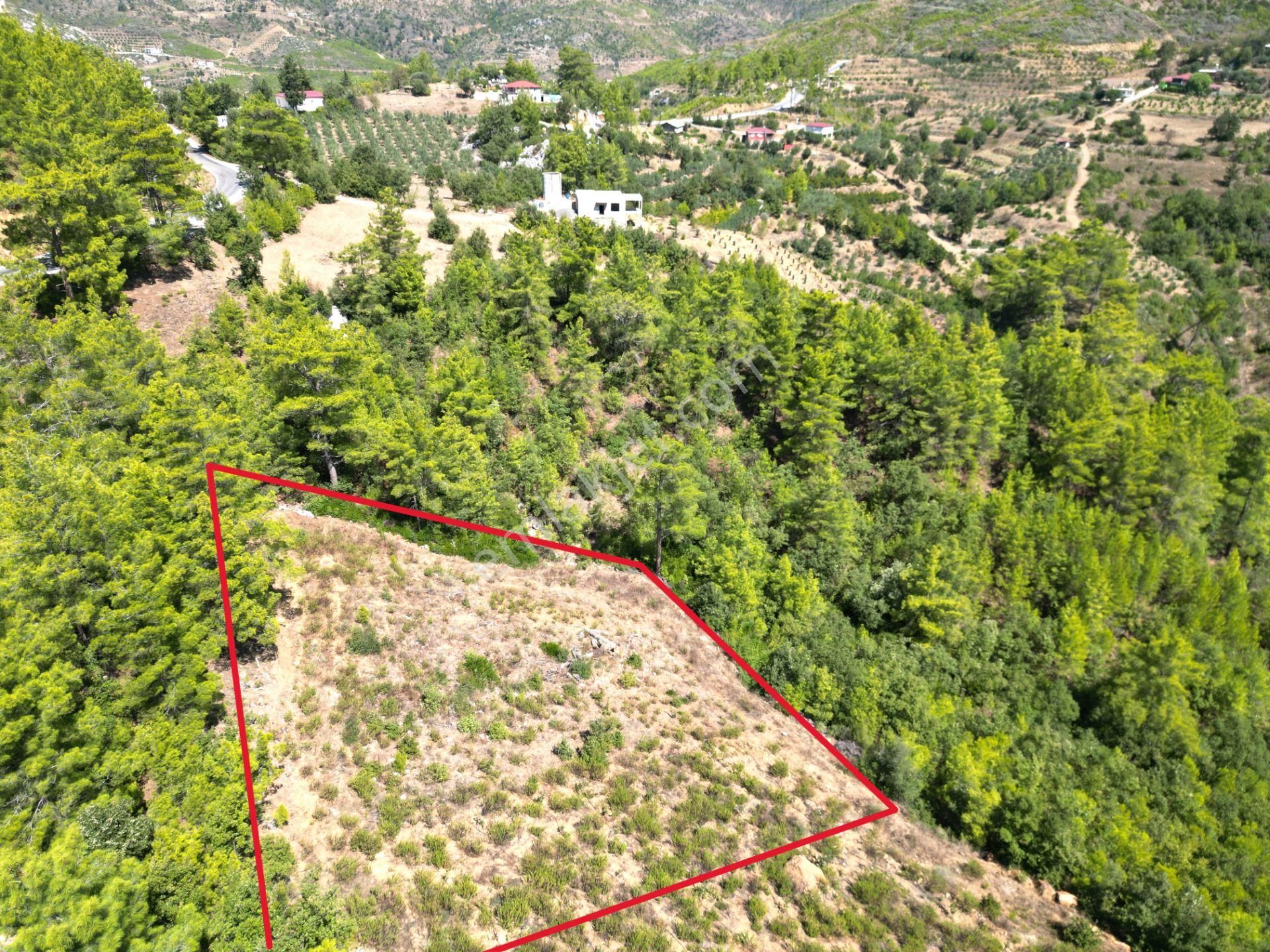 Alanya'da Satılık Yola Sıfır Acil Fırsat Tarla 1100 Metrekare - Görsel 4