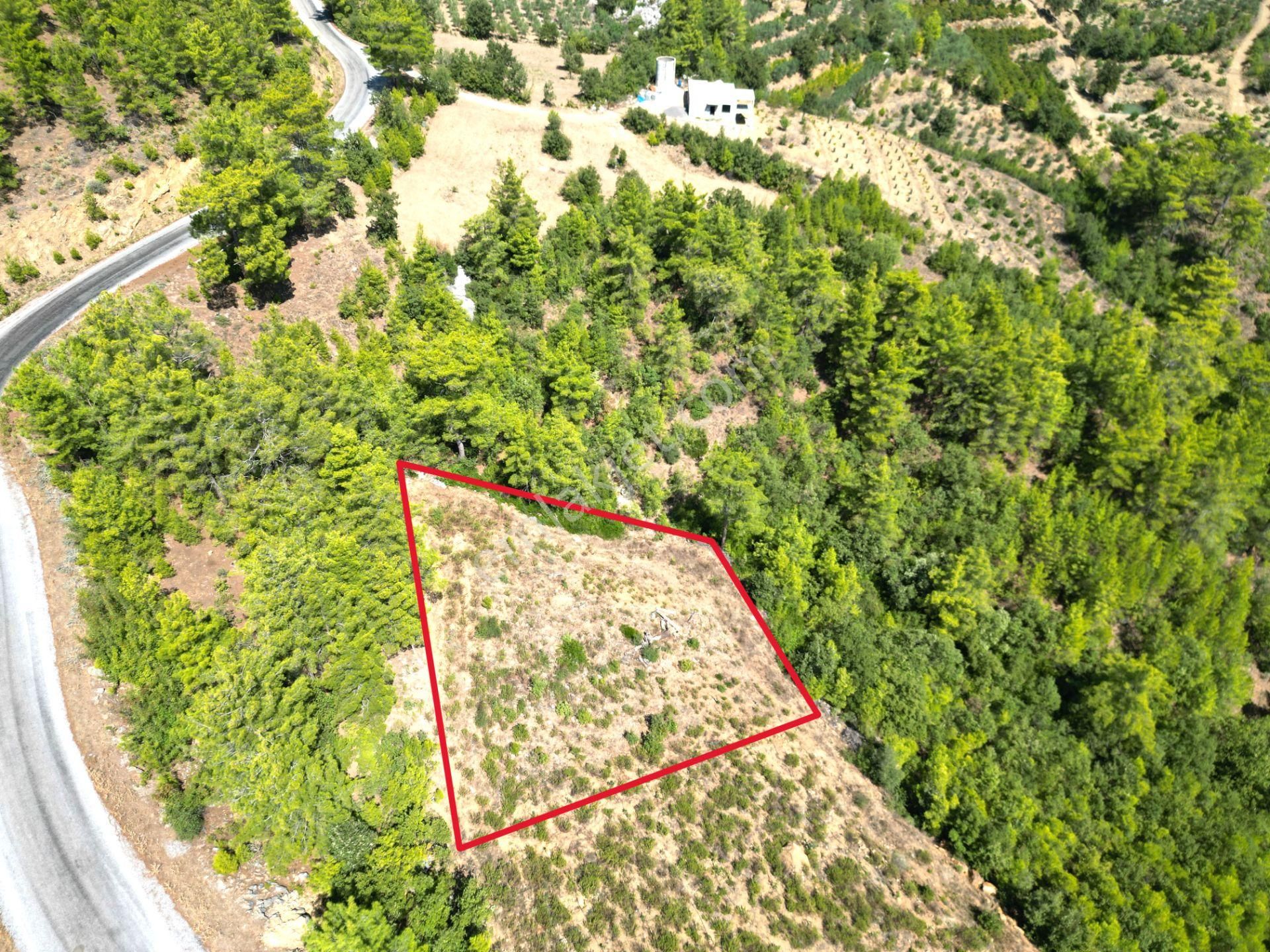 Alanya'da Satılık Yola Sıfır Acil Fırsat Tarla 1100 Metrekare - Görsel 2