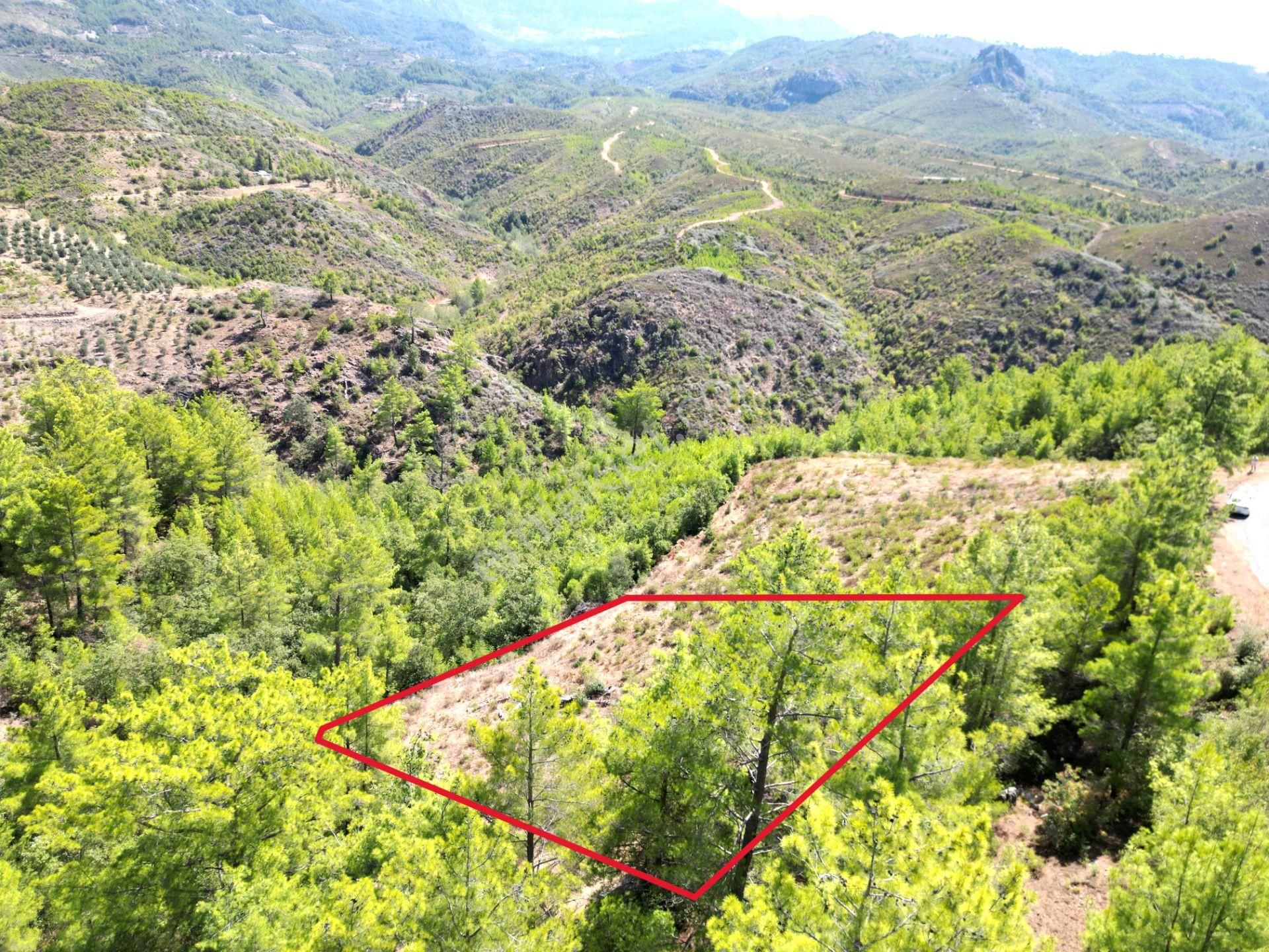 Alanya'da Satılık Yola Sıfır Acil Fırsat Tarla 1100 Metrekare - Görsel 9