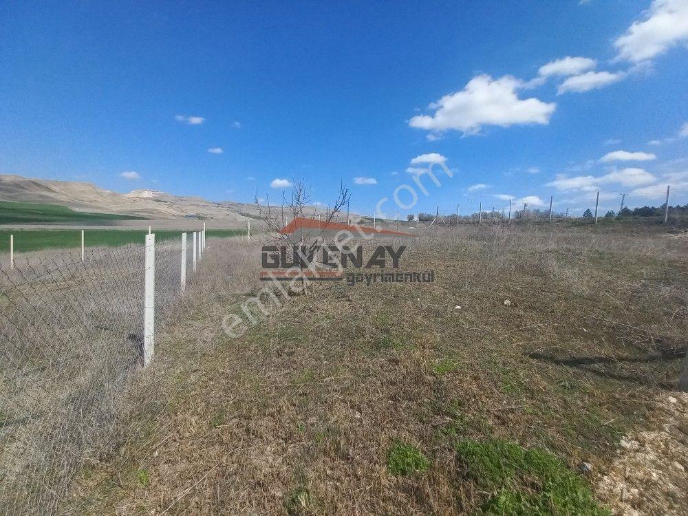 Güvenay - Çorum Cemilbey Yolu Kayı - Kıvırcık Yol Ayrımı Ana Yolda Bahçe - Görsel 6