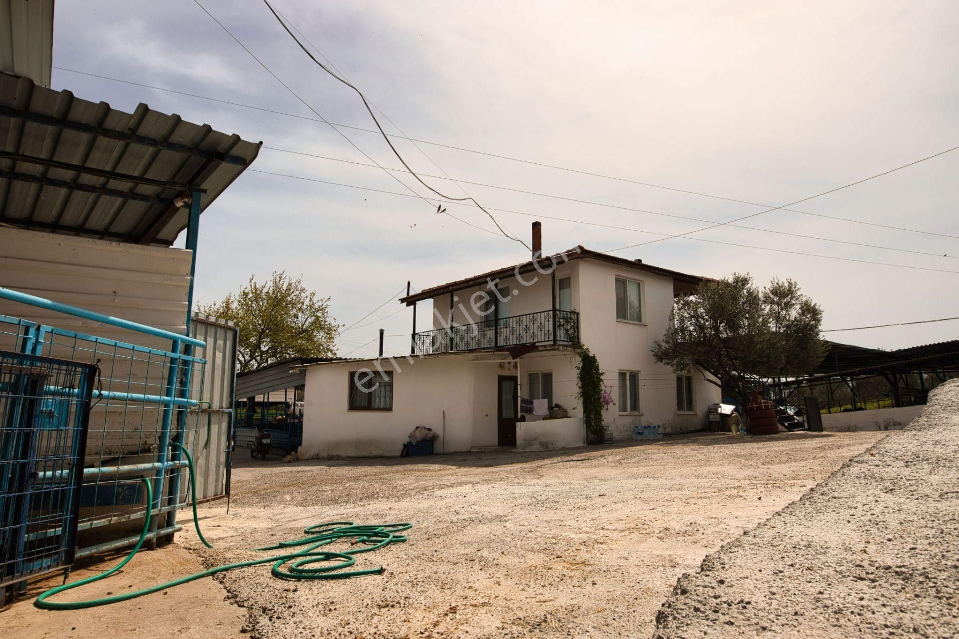 Dıalog Göktürk' Ten Ayvalık ' Ta Çiftlik Besihane