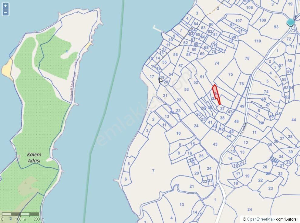İzmir Dikili Bademli,de Satılık Denize Nazır 1697m2 Zeytinli Tarla - Görsel 5