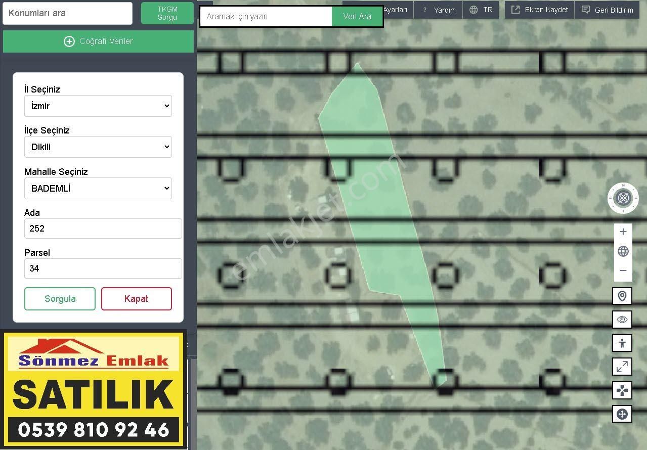 İzmir Dikili Bademli,de Satılık Denize Nazır 1697m2 Zeytinli Tarla - Görsel 3