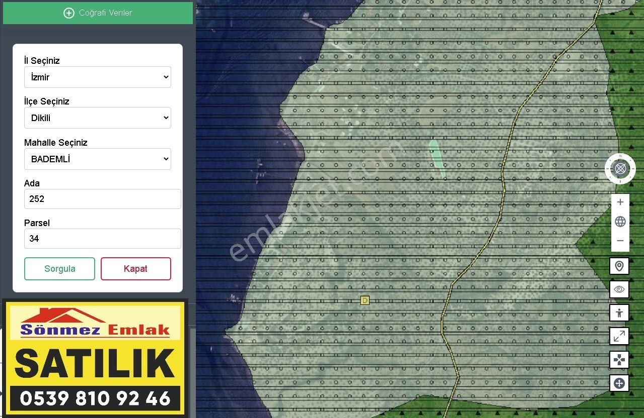 İzmir Dikili Bademli,de Satılık Denize Nazır 1697m2 Zeytinli Tarla - Görsel 4