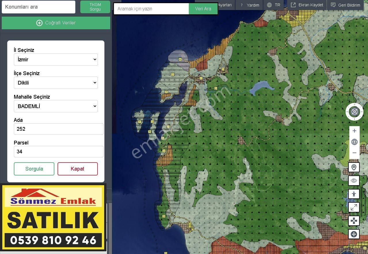 İzmir Dikili Bademli,de Satılık Denize Nazır 1697m2 Zeytinli Tarla - Görsel 13