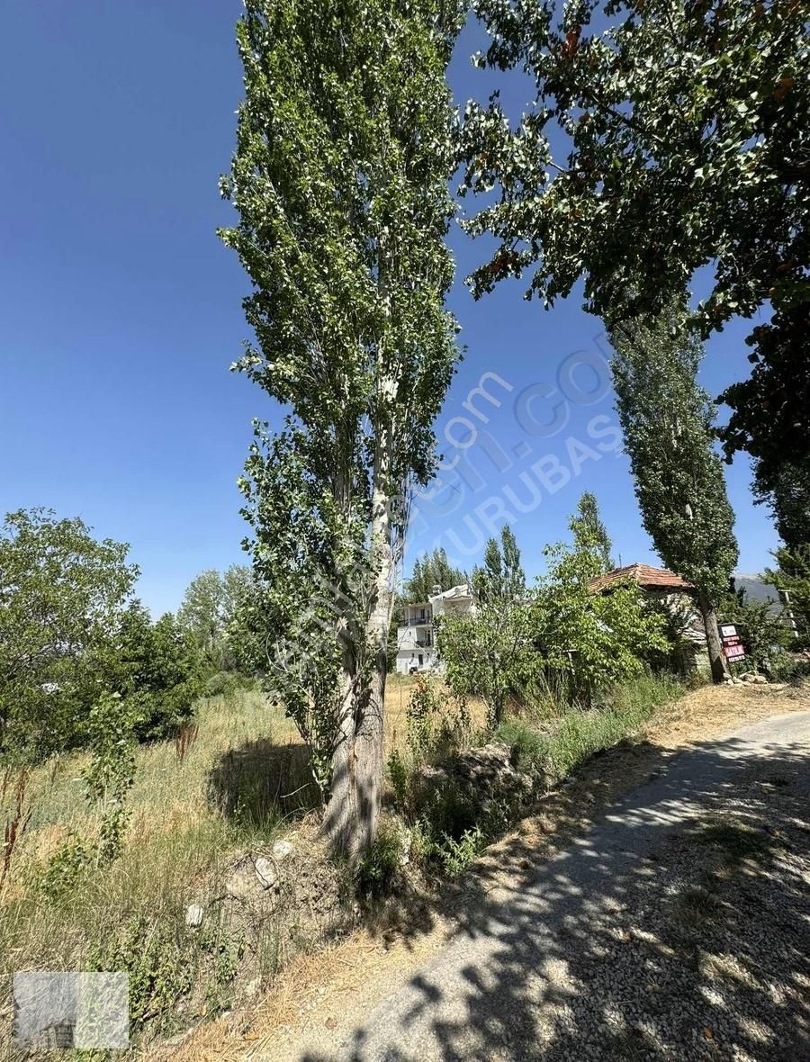 Mehmet Kurubaş Emlak'ta Kaş Gömbe Yol İçi Mükemmel Satılık Arsa - Görsel 7