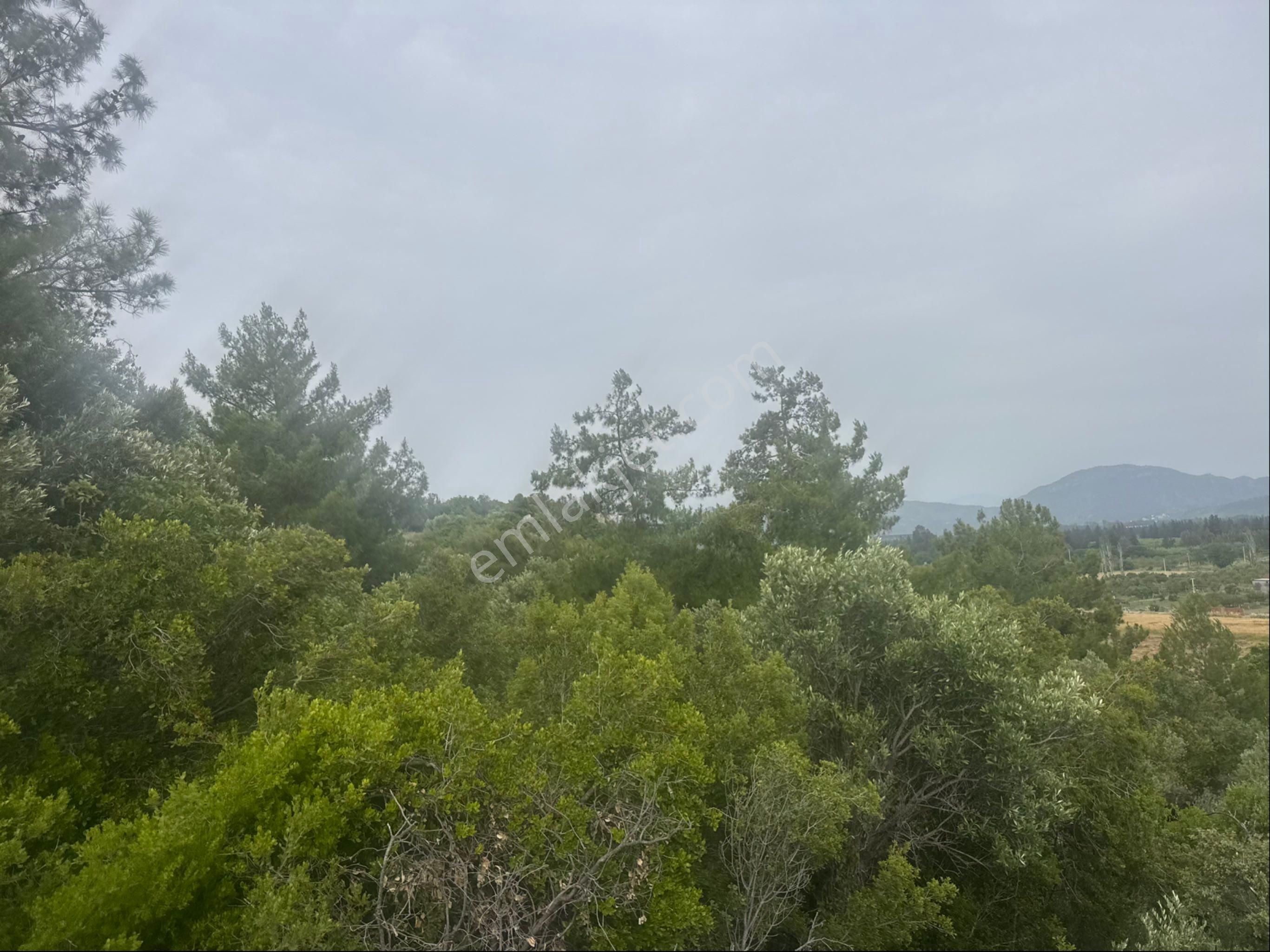 Günel Emlaktan Satılık Tarla - Görsel 13