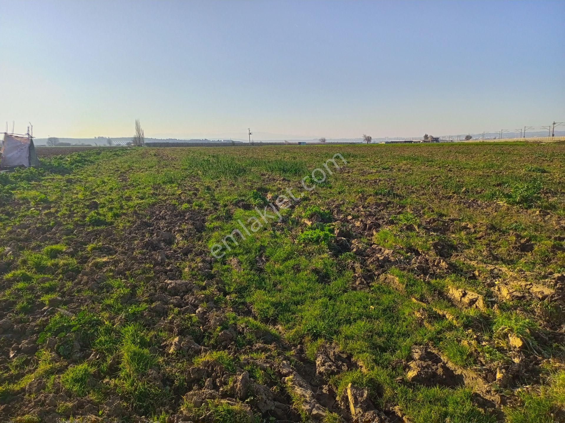 Torbalı Mah., Tek Tapu, Müstakil Parsel, Yol Cepheli, Masa Üstü Gibi Düz, 7.700m2 Arazimiz Satılık