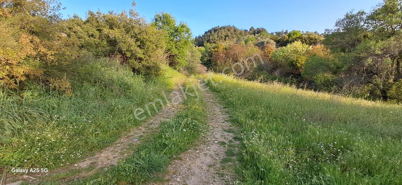 Yörük Emlaktan Satılık Yayla Köyünde 2382 M2 Tarla