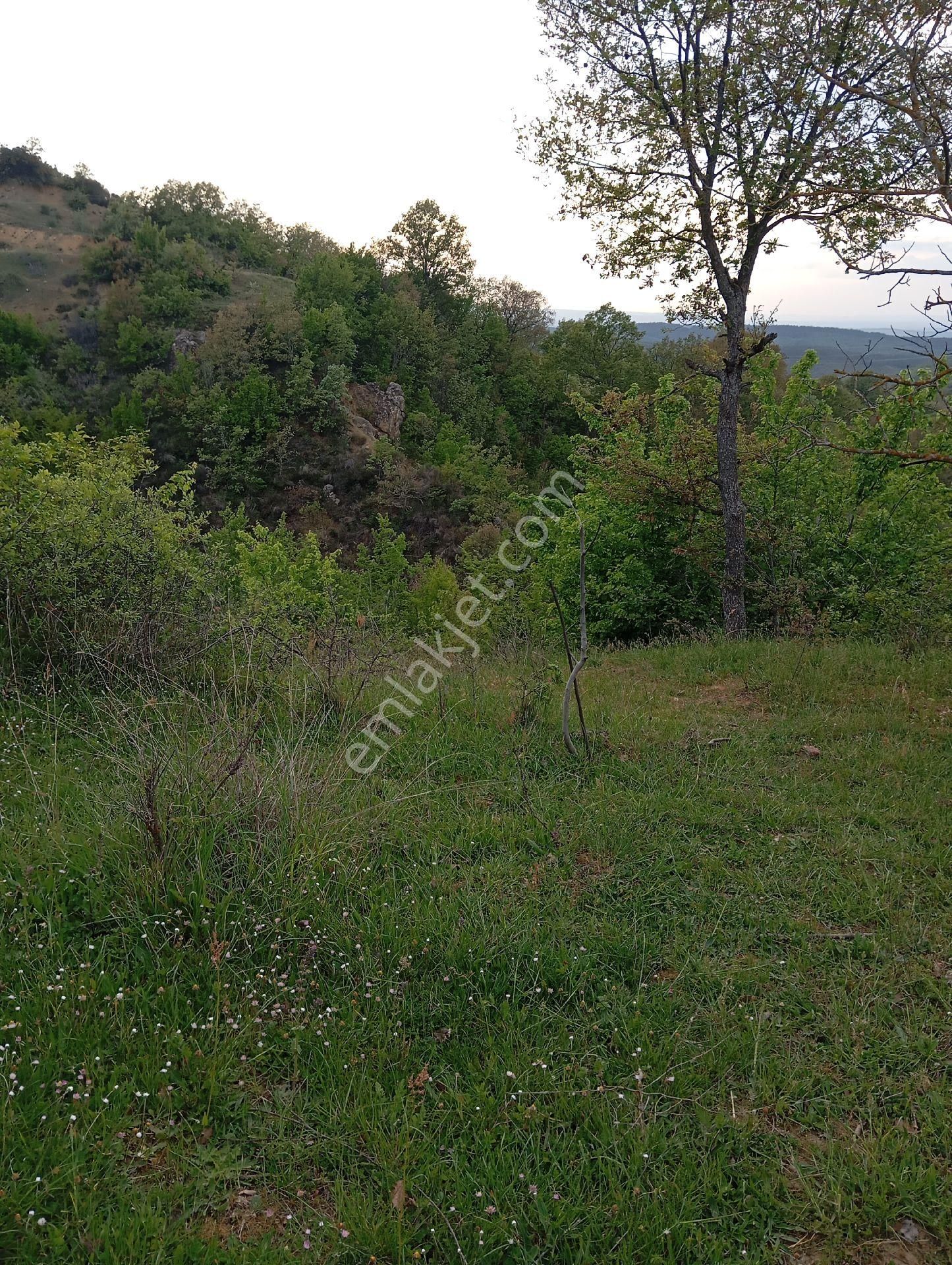 Parlar Emlaktan Satılık 5.560 Metre 3.500 Metresi Yüzde 75 Köy İmarlı Satılık Arsa - Görsel 2