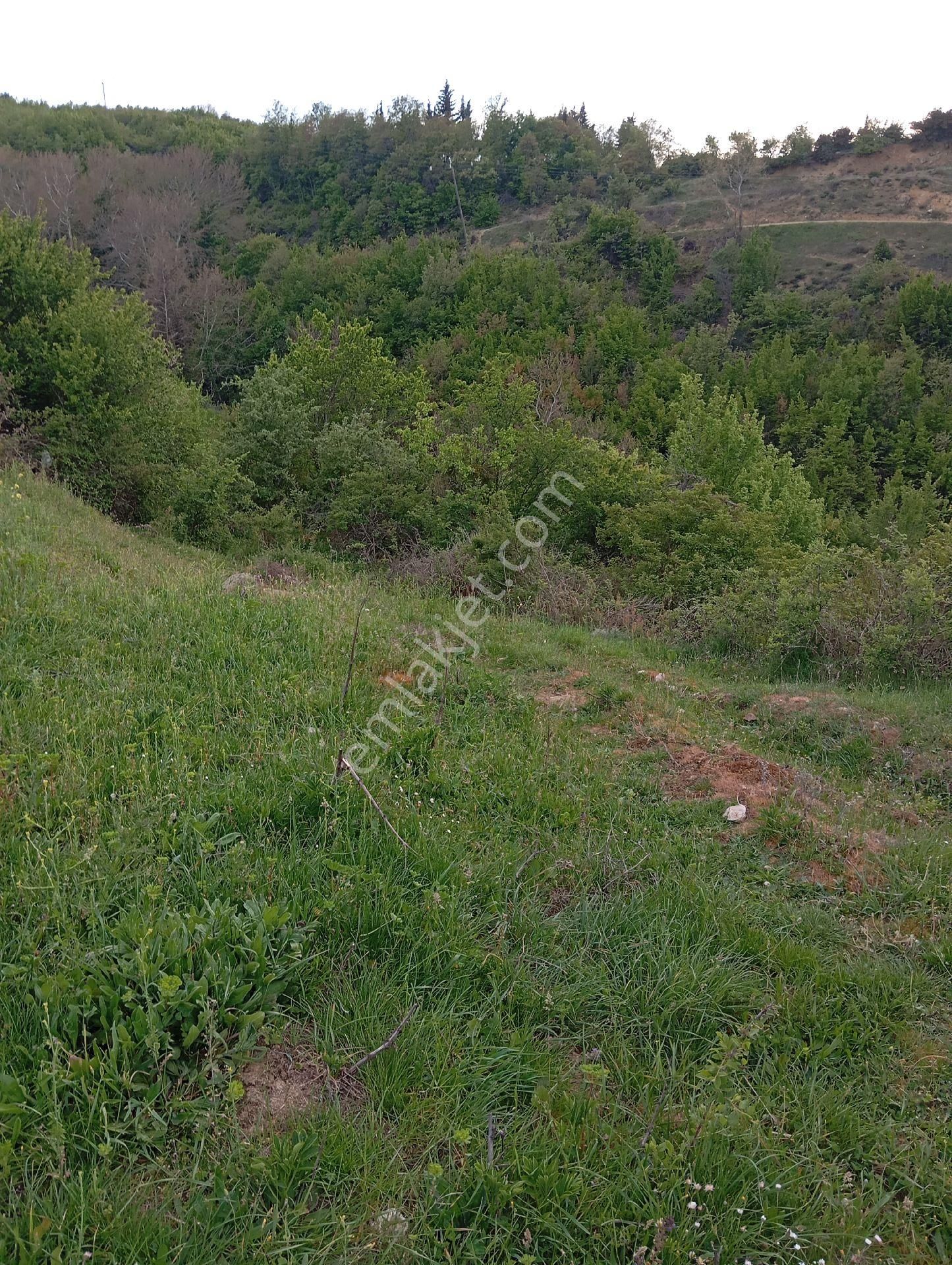 Parlar Emlaktan Satılık 5.560 Metre 3.500 Metresi Yüzde 75 Köy İmarlı Satılık Arsa