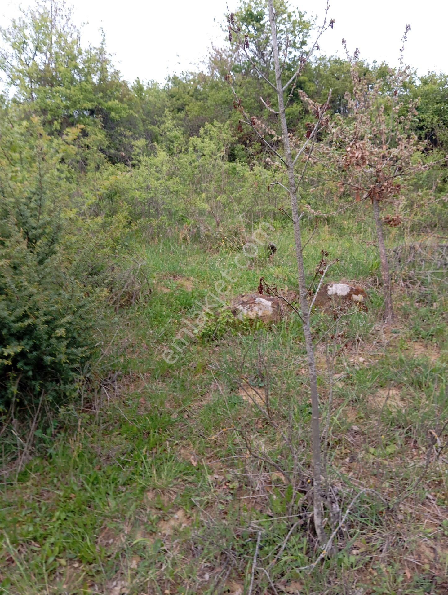 Parlar Emlaktan Satılık 5.560 Metre 3.500 Metresi Yüzde 75 Köy İmarlı Satılık Arsa - Görsel 16