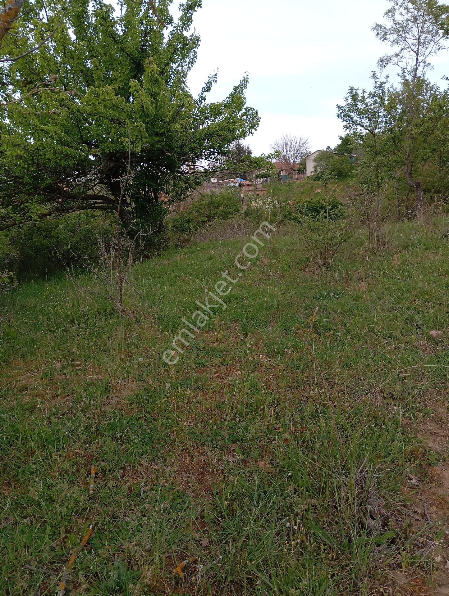 Parlar Emlaktan Satılık 5.560 Metre 3.500 Metresi Yüzde 75 Köy İmarlı Satılık Arsa - Görsel 13