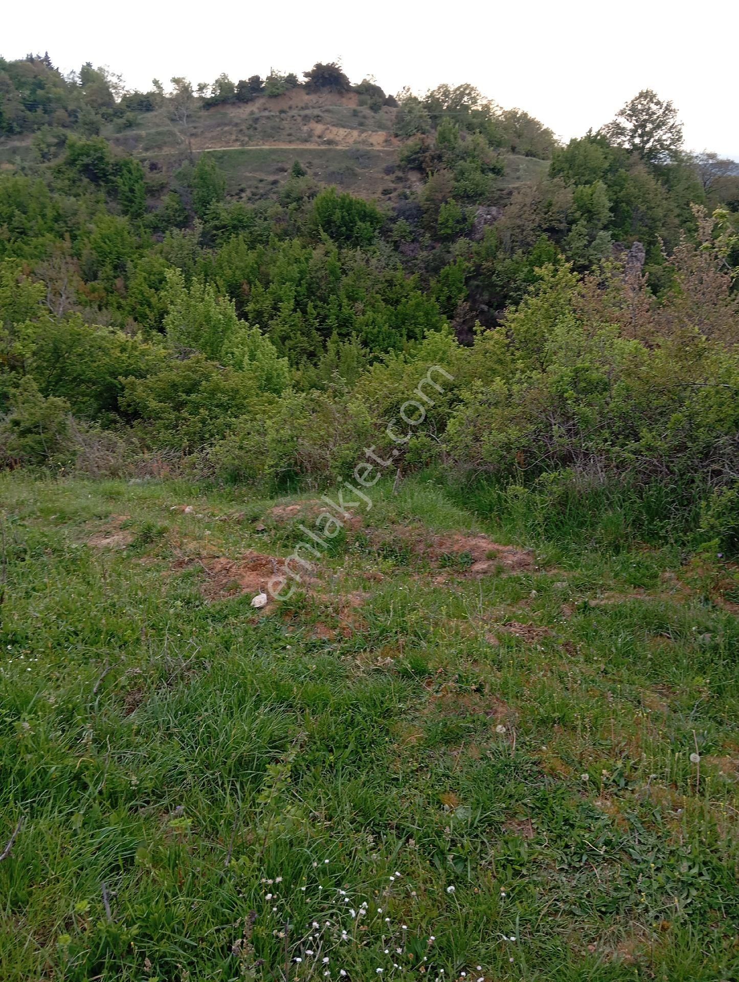 Parlar Emlaktan Satılık 5.560 Metre 3.500 Metresi Yüzde 75 Köy İmarlı Satılık Arsa - Görsel 4