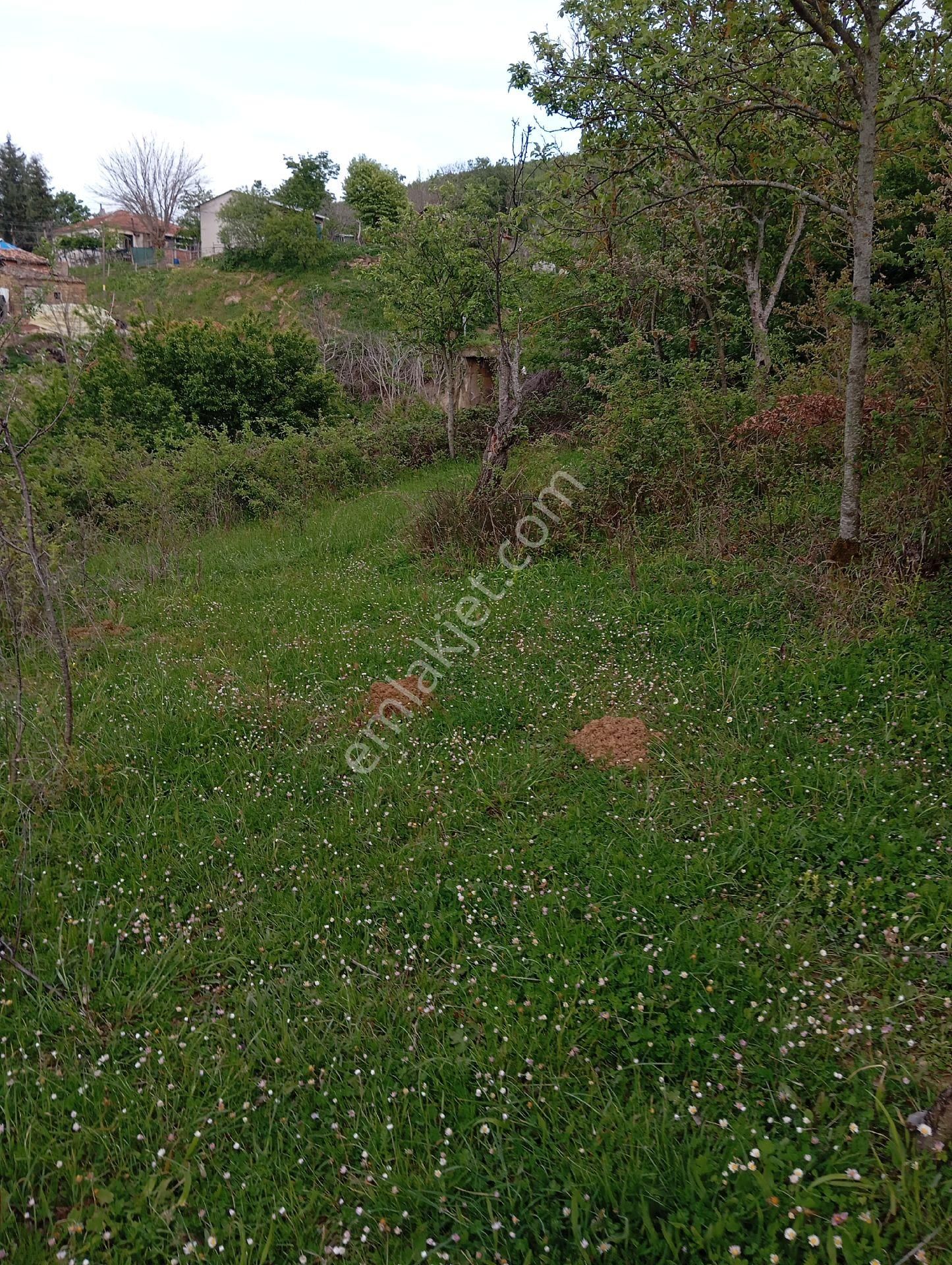 Parlar Emlaktan Satılık 5.560 Metre 3.500 Metresi Yüzde 75 Köy İmarlı Satılık Arsa - Görsel 10