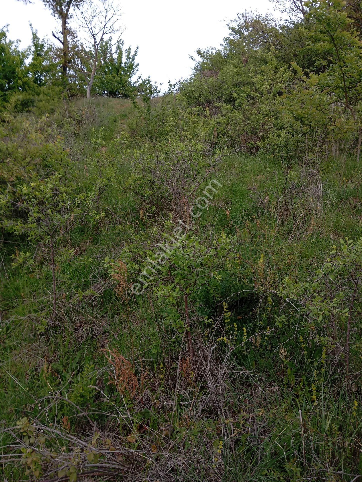 Parlar Emlaktan Satılık 5.560 Metre 3.500 Metresi Yüzde 75 Köy İmarlı Satılık Arsa - Görsel 18