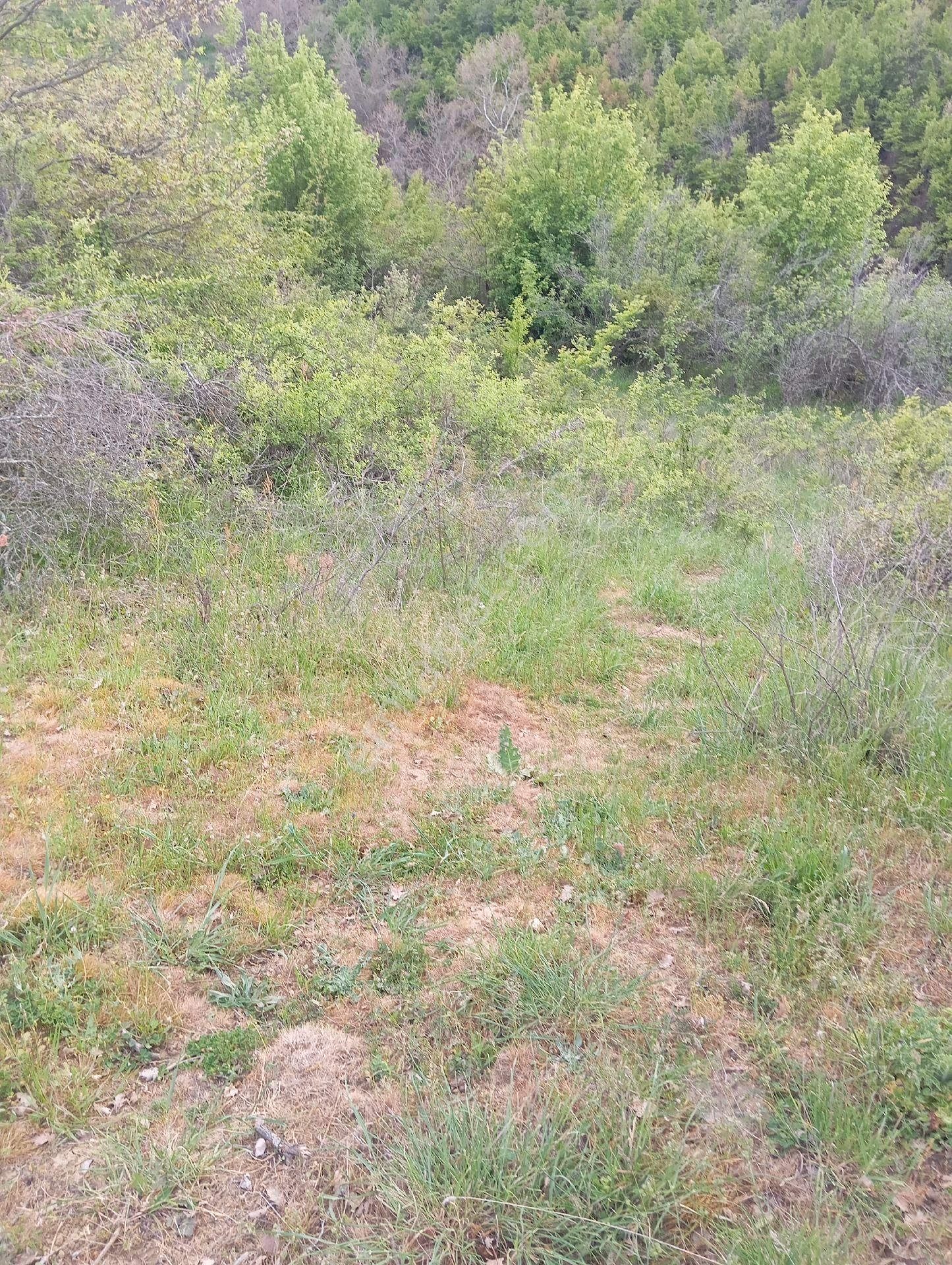 Parlar Emlaktan Satılık 5.560 Metre 3.500 Metresi Yüzde 75 Köy İmarlı Satılık Arsa - Görsel 12