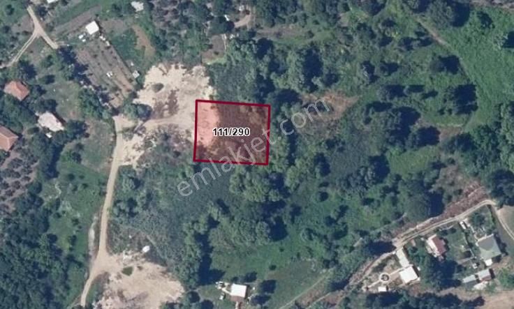 Erdek Yukarıyapıcıda 1.502 M² Satılık Tarla