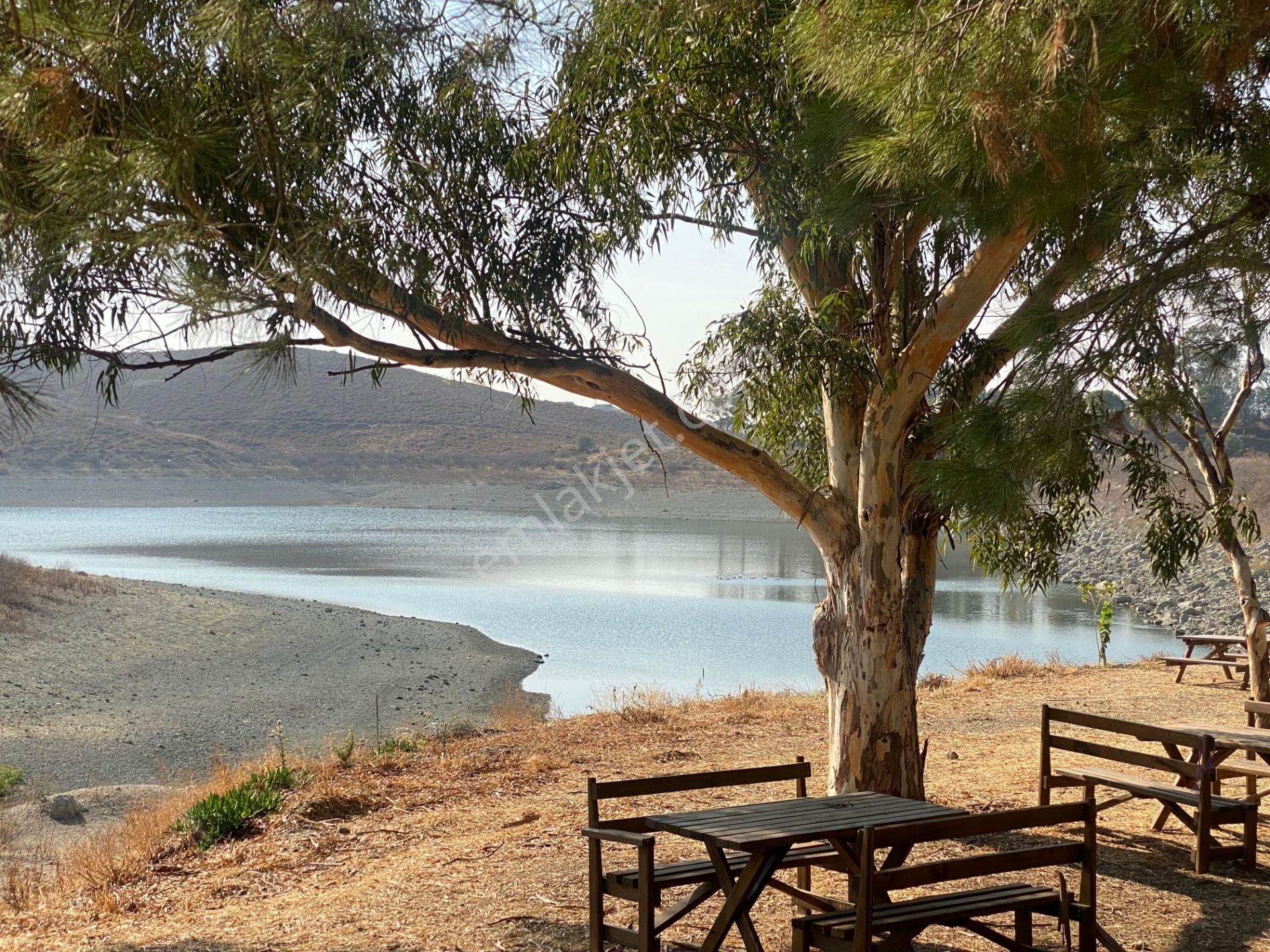 Toprağa Dokun, Göl Kenarında Huzurlu Yaşam Seni Bekliyor ! - Görsel 5