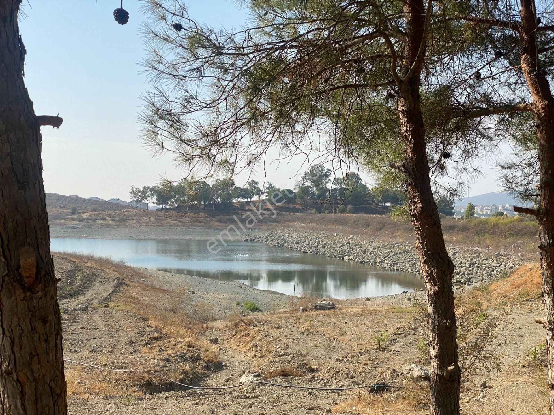 Toprağa Dokun, Göl Kenarında Huzurlu Yaşam Seni Bekliyor ! - Görsel 2