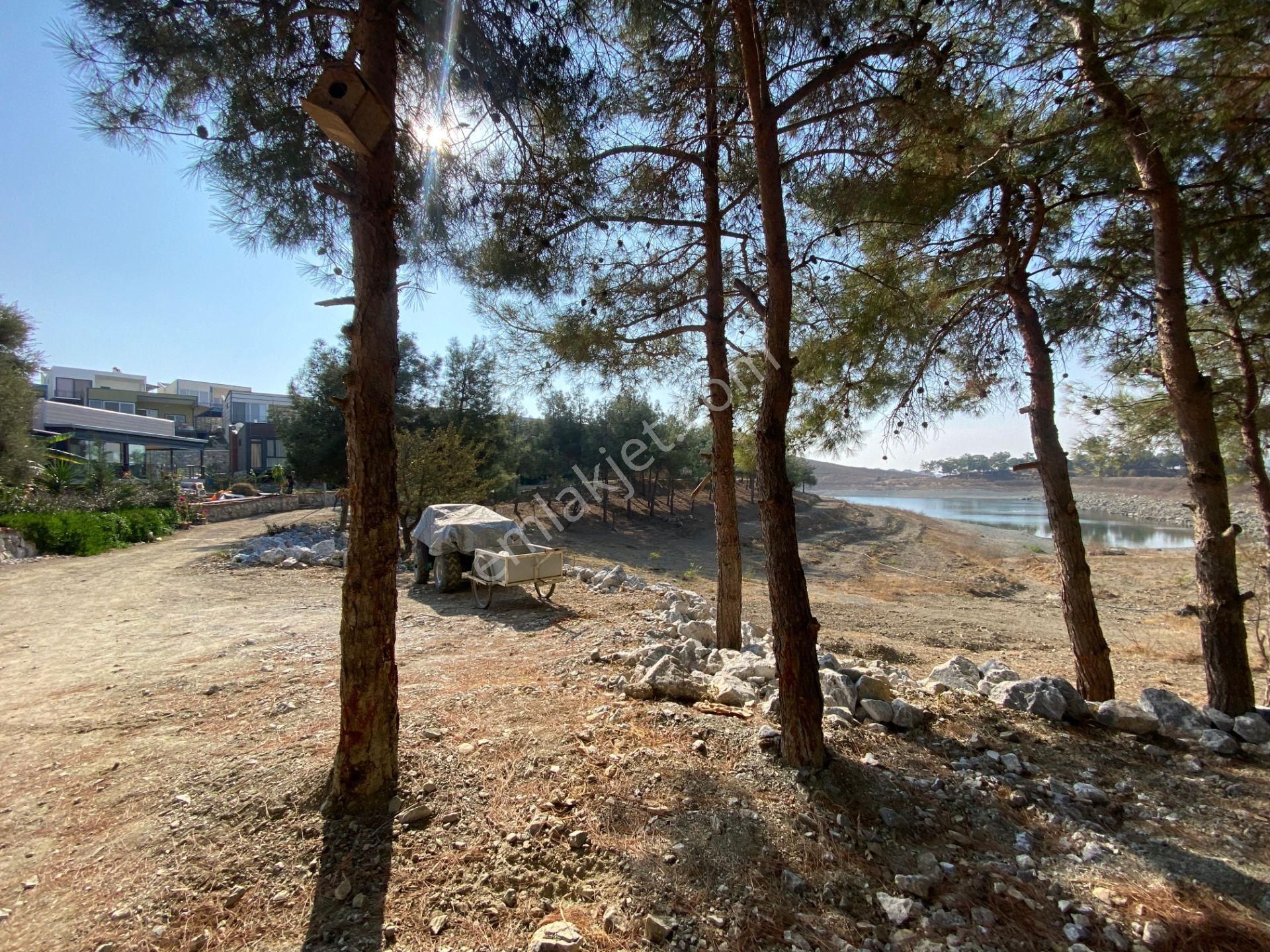 Toprağa Dokun, Göl Kenarında Huzurlu Yaşam Seni Bekliyor ! - Görsel 3