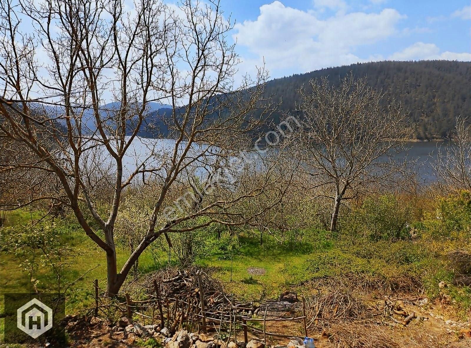 Hasdemir'den Orhaneli Çınarcık'ta Satılık 224mt2 Köy İçi Bahçe