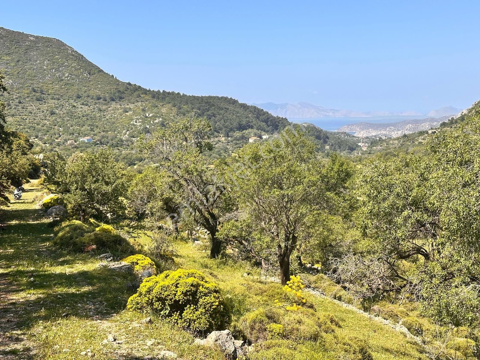 Lotus'tan Marmaris Söğüt'te 388 M2 Satilik Tarla