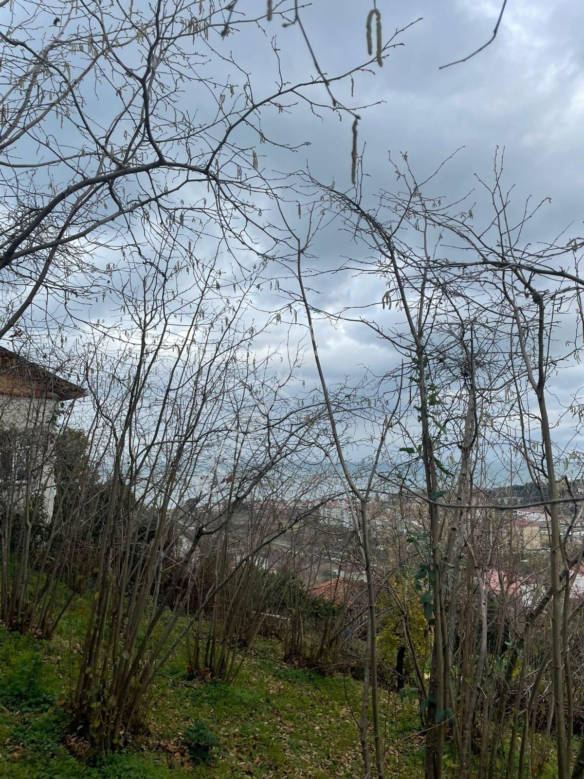 Çerlide Satılık İmarlı Arsa