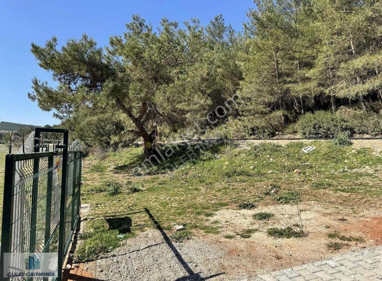 Güler'den Yıldızlar'da Tapulu Cadde Üstü Arsa - Görsel 2