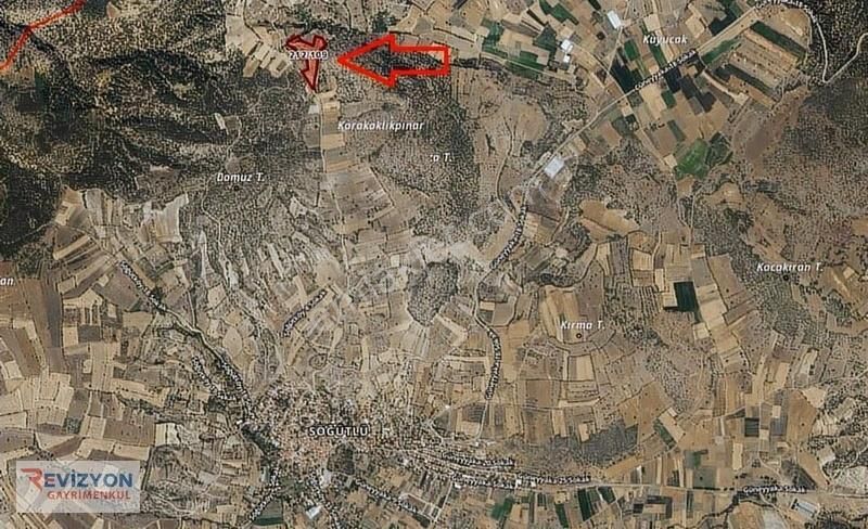 Çardak Söğüt'de 16.481 M2 Satılık Tarla