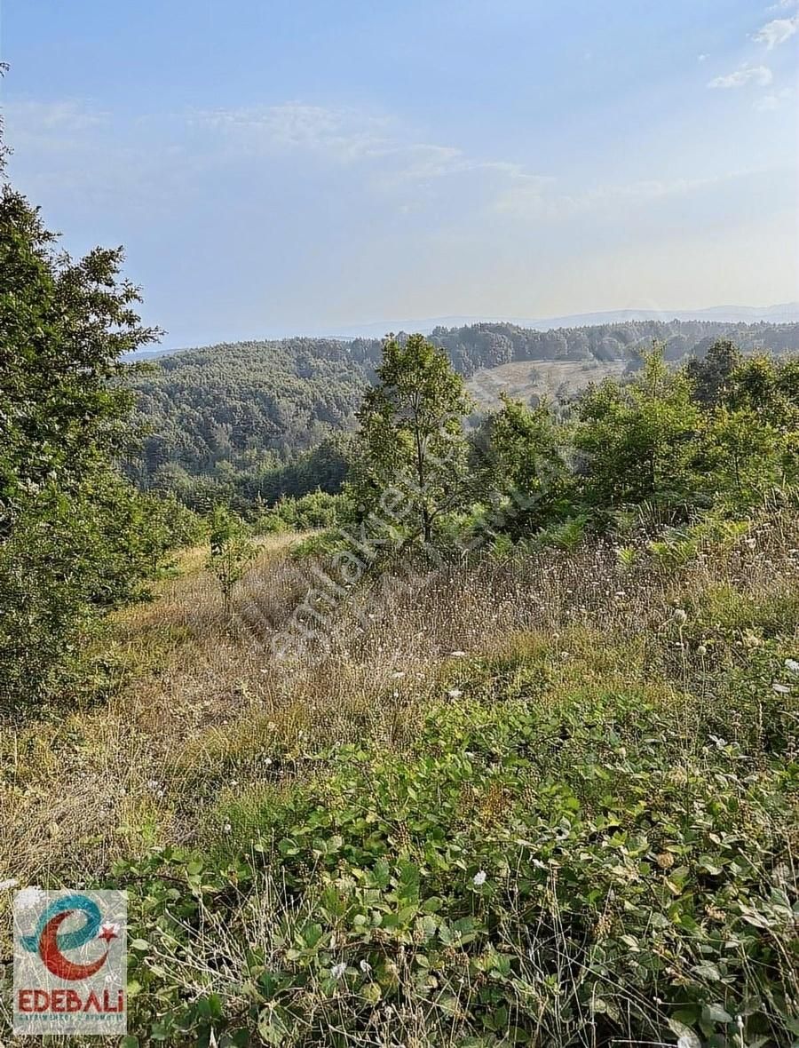 Satılık Bahçe 2.836 M2 Sütlük Köyü