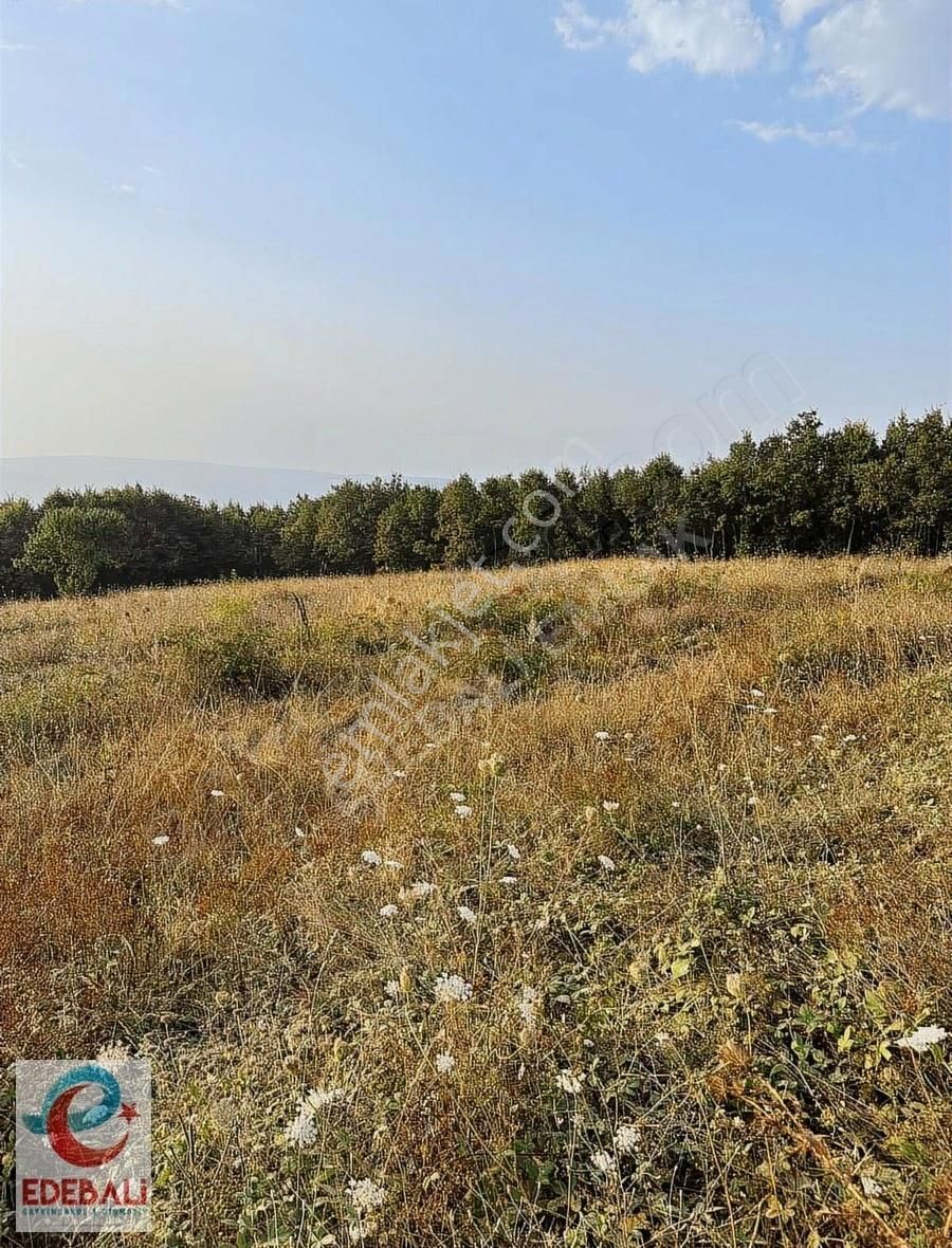 Sütlük Köyü 6.846 M2 Ekilir Biçilir Tarla