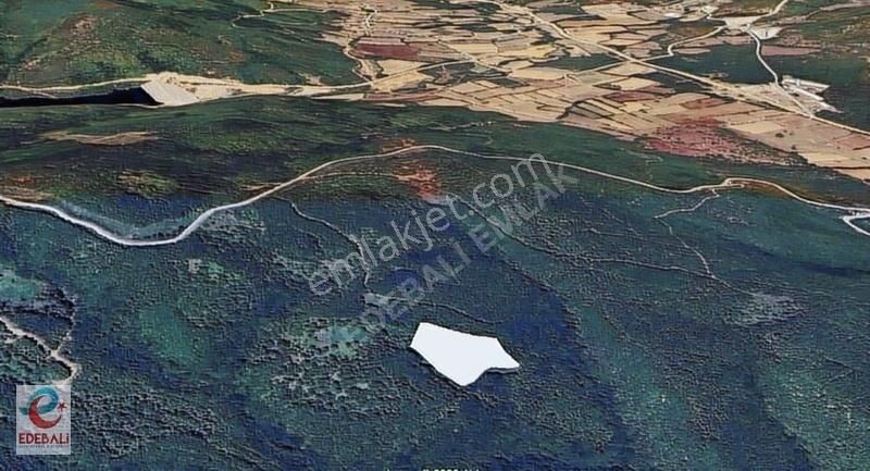 Sütlük Köyü 7.304 M2 Orman İçi Kelepir Tarla