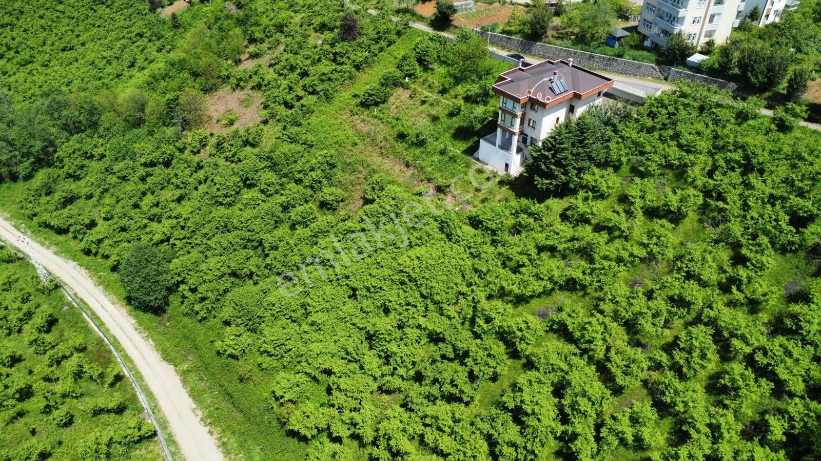 Trabzon Ortahisar Bulak'ta Satılık Arazi