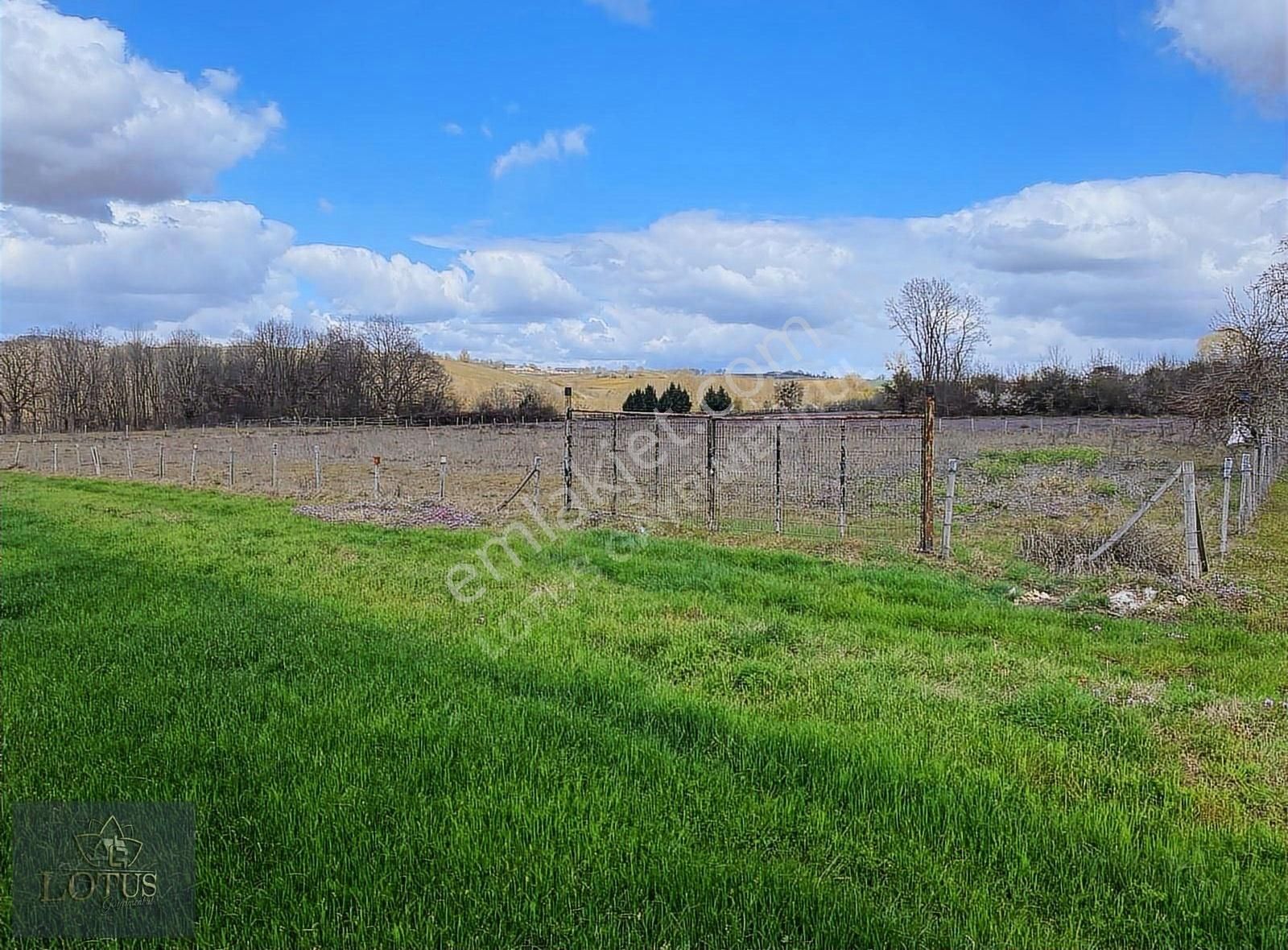 Kupon İzmit Akmeşe Cumhuriyet 3682m2 Bungalov Tınyhouse Parseli