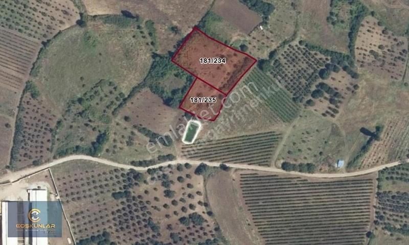 Seç Köyde Yola Yakın Yatırımlık Fırsat Satılık Tarla - Görsel 5