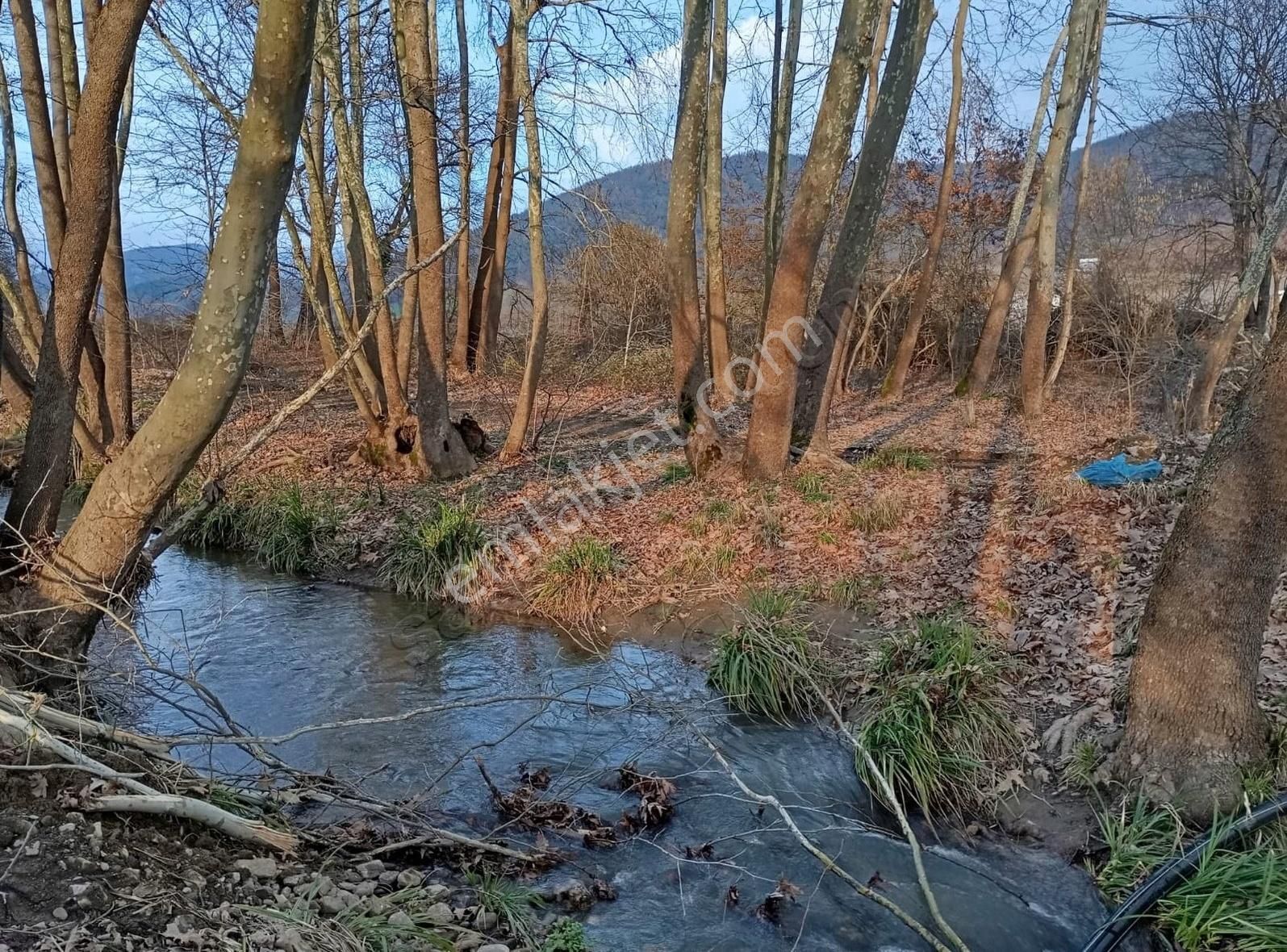 Kestel Gölcük Arası Yenişehir Burcun Tapu Satılık 1.200 M2 Yer