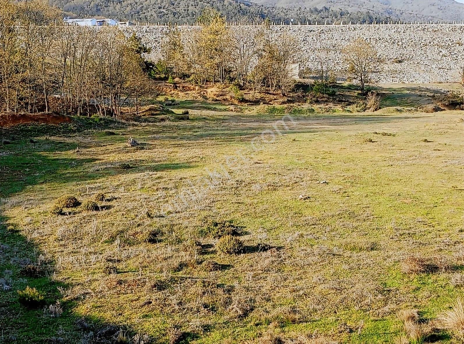 Kestel Gölcük Köyü Satılık 350 M2 Resmi Tapulu Yer