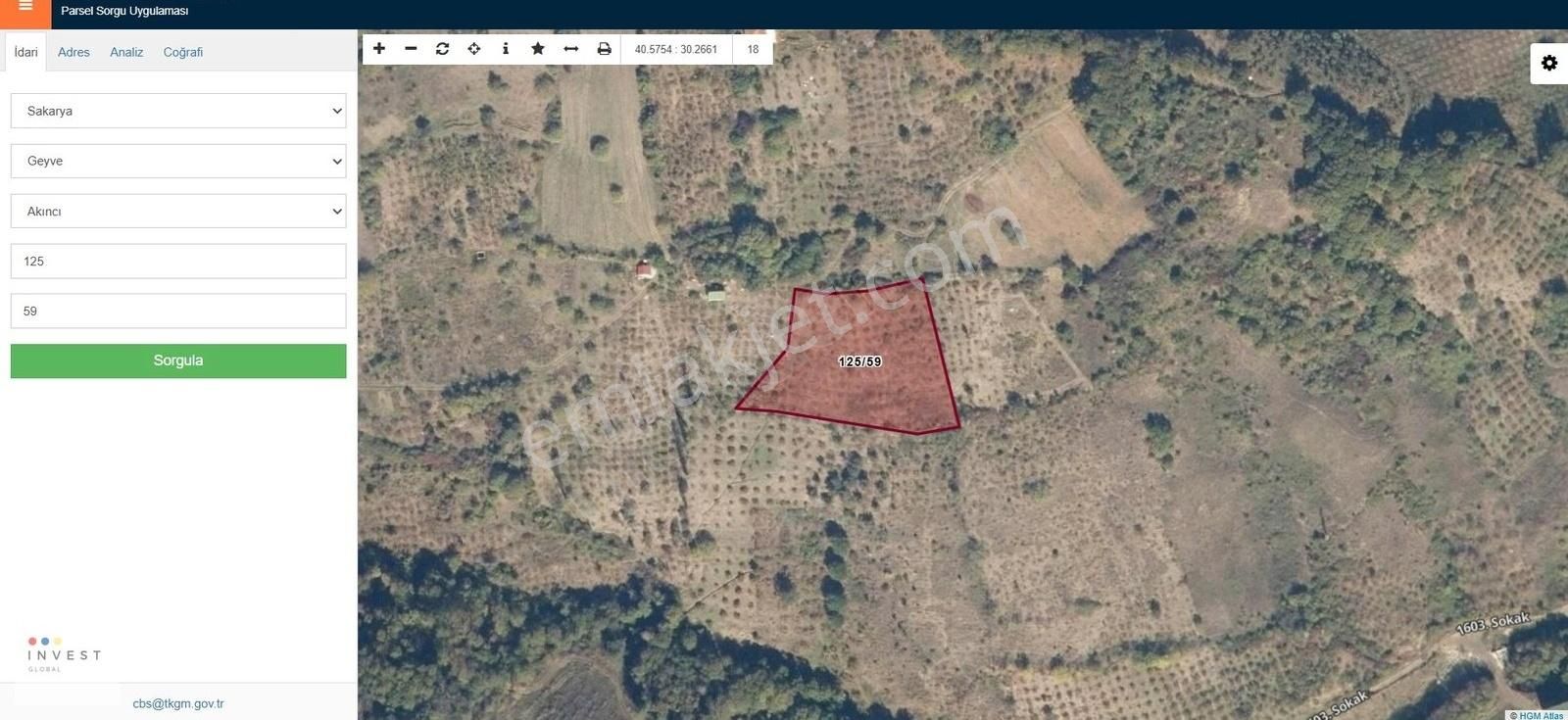 Invest Global'den Sakarya Geyve'de Satılık 4386 M² Fındıklık