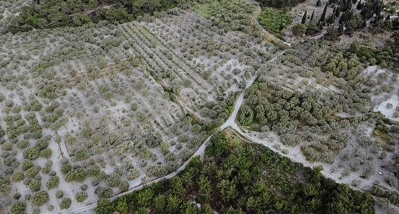 Ermiş Emlaktan Sakarkaya Mah. 8012 M2 Zeytinlik - Görsel 23