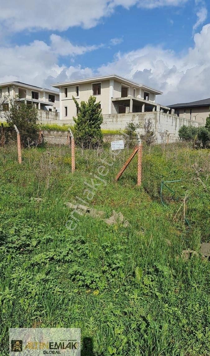 Lotusun Güney Yanı