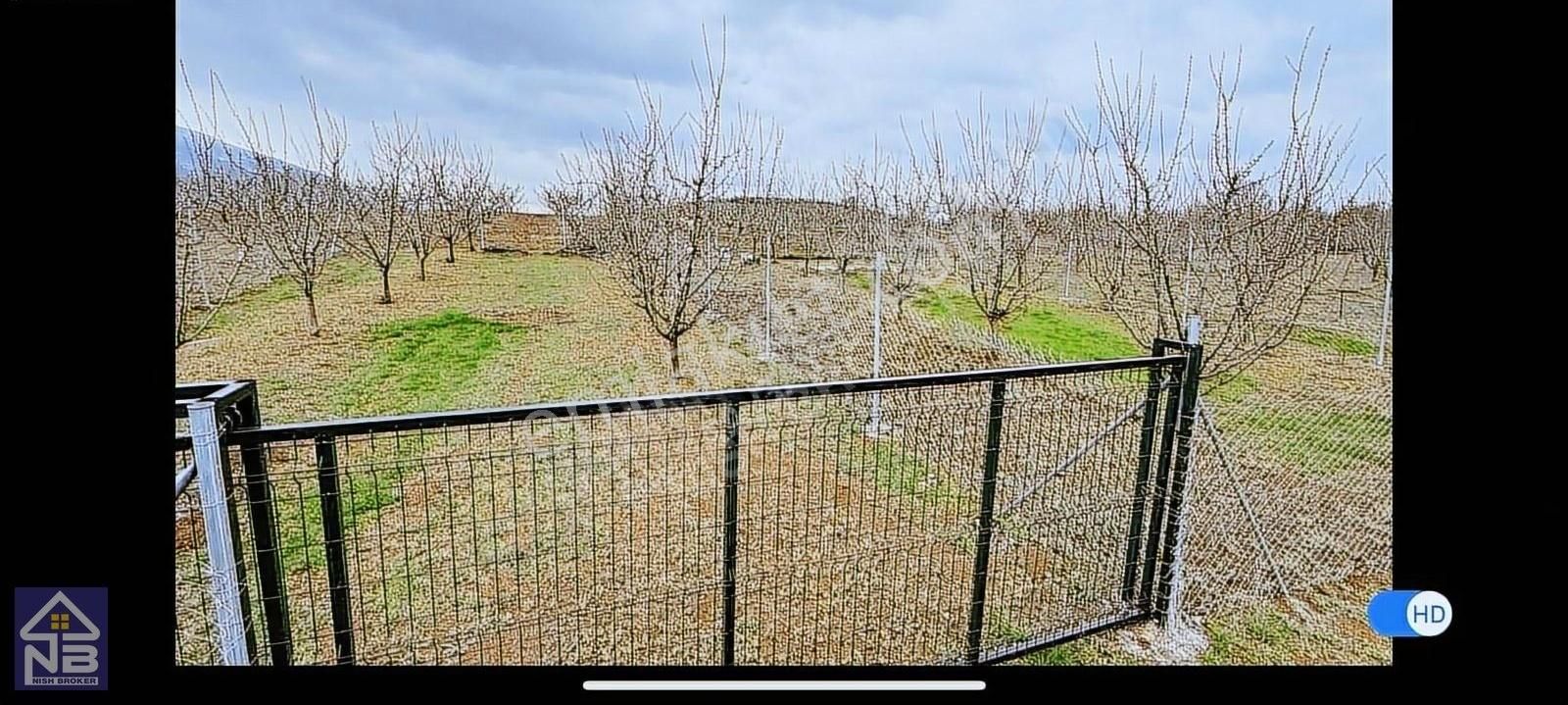 Hobi Bahçesi İnegöl Akıncılar - Görsel 2