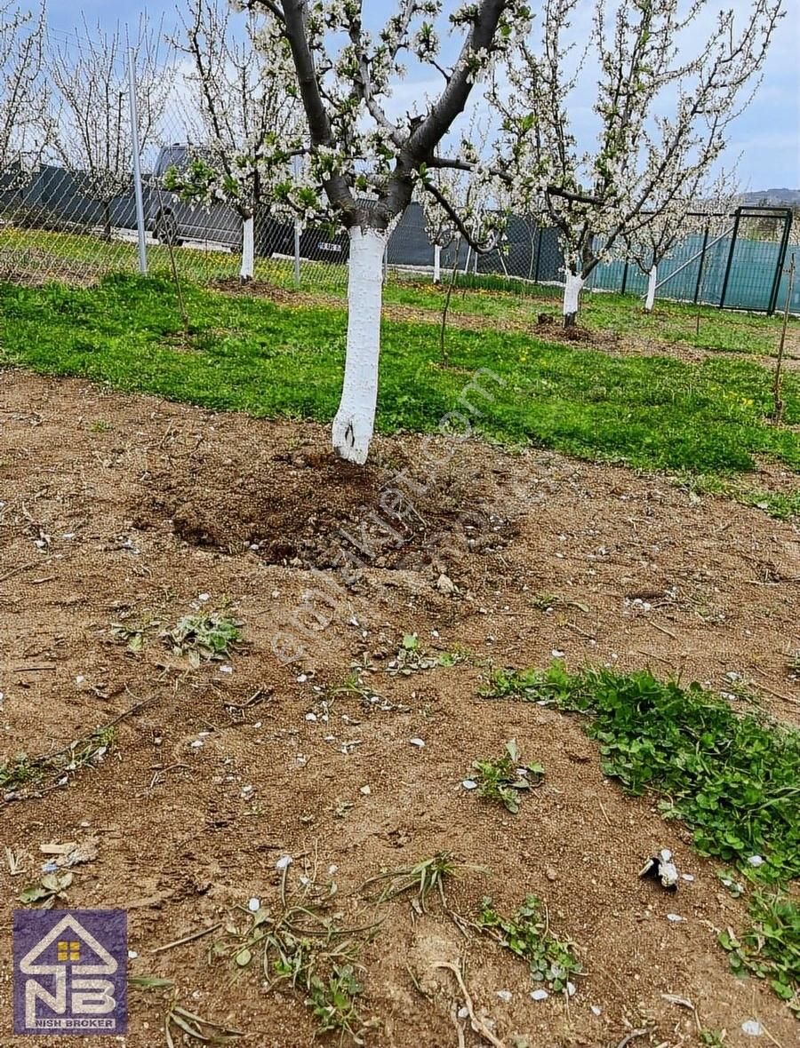 Hobi Bahçesi İnegöl Akıncılar - Görsel 4