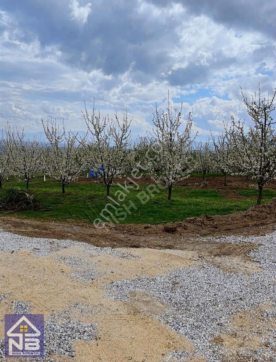 Hobi Bahçesi İnegöl Akıncılar - Görsel 5