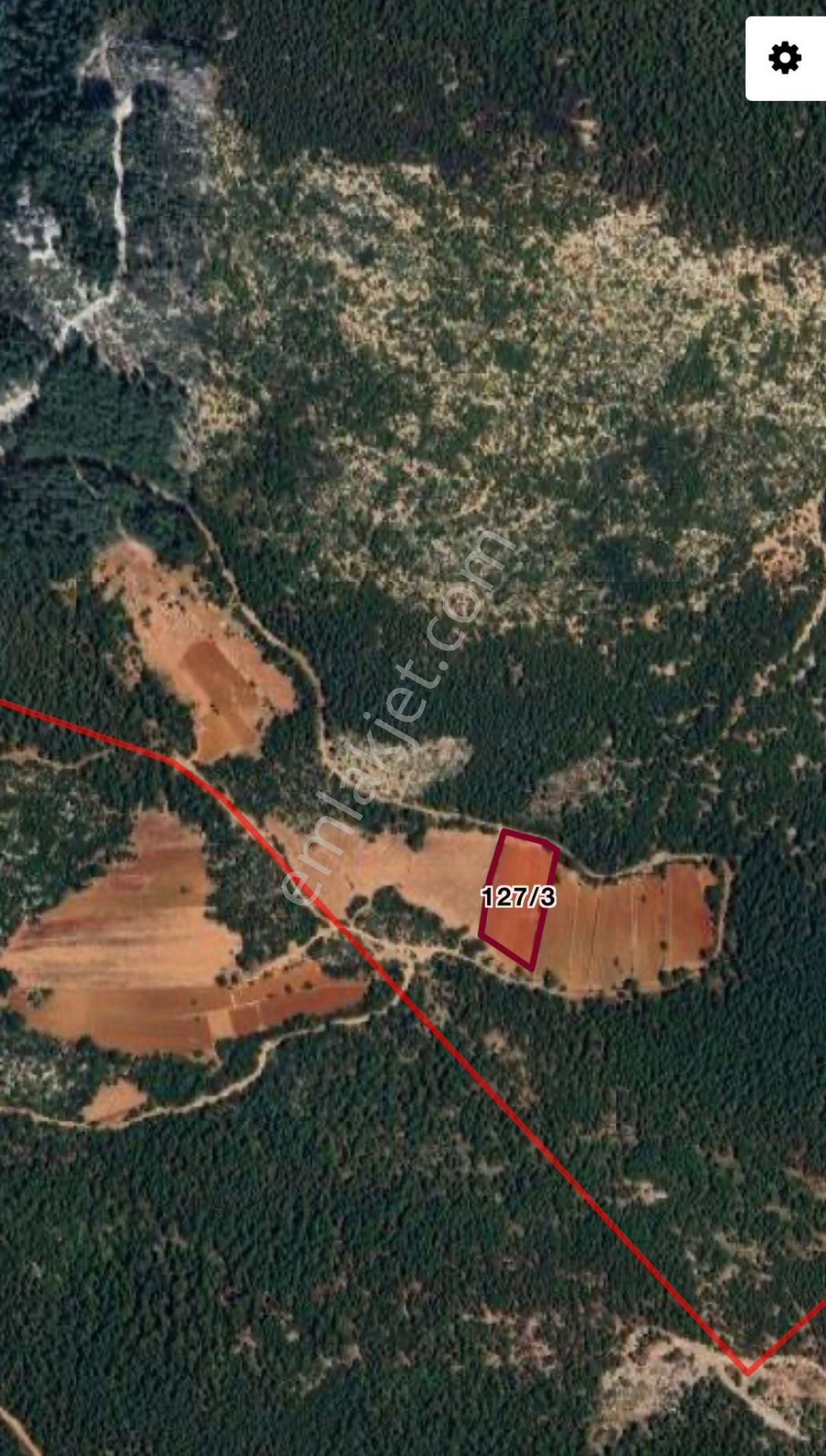Doğadan Hasanlarda 5300m2 Yolu Olan Tarla