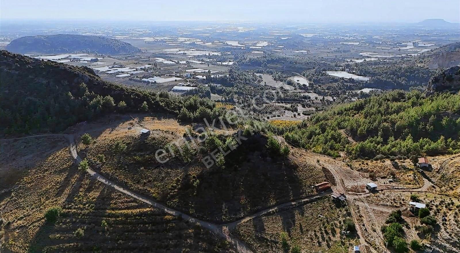 Deniztepesi Yayla Havasında 2603 M2 Tarla