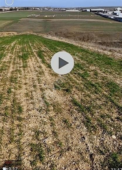 Tekirdağ Yeniçiftlik Marmaraereğlisi Acil Satılık