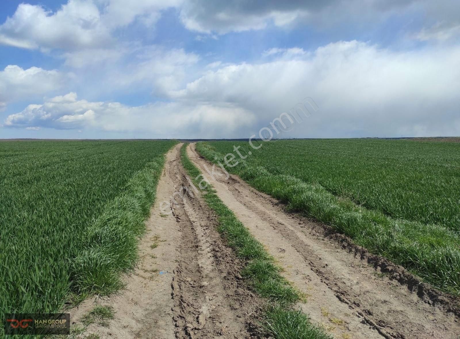 Silivri Beyciler'de Acil Satılık 2318 Metre 5 Eşit İse
